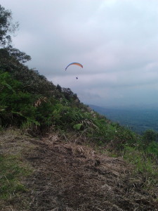 olahraga paralayang di atas Bukit Kekep, Desa Lengkong, Kabupaten Wonosobo. (foto: istimewa)