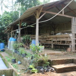 Kandang kambing terintegarsi dengan instalasi pengolahan biogas
